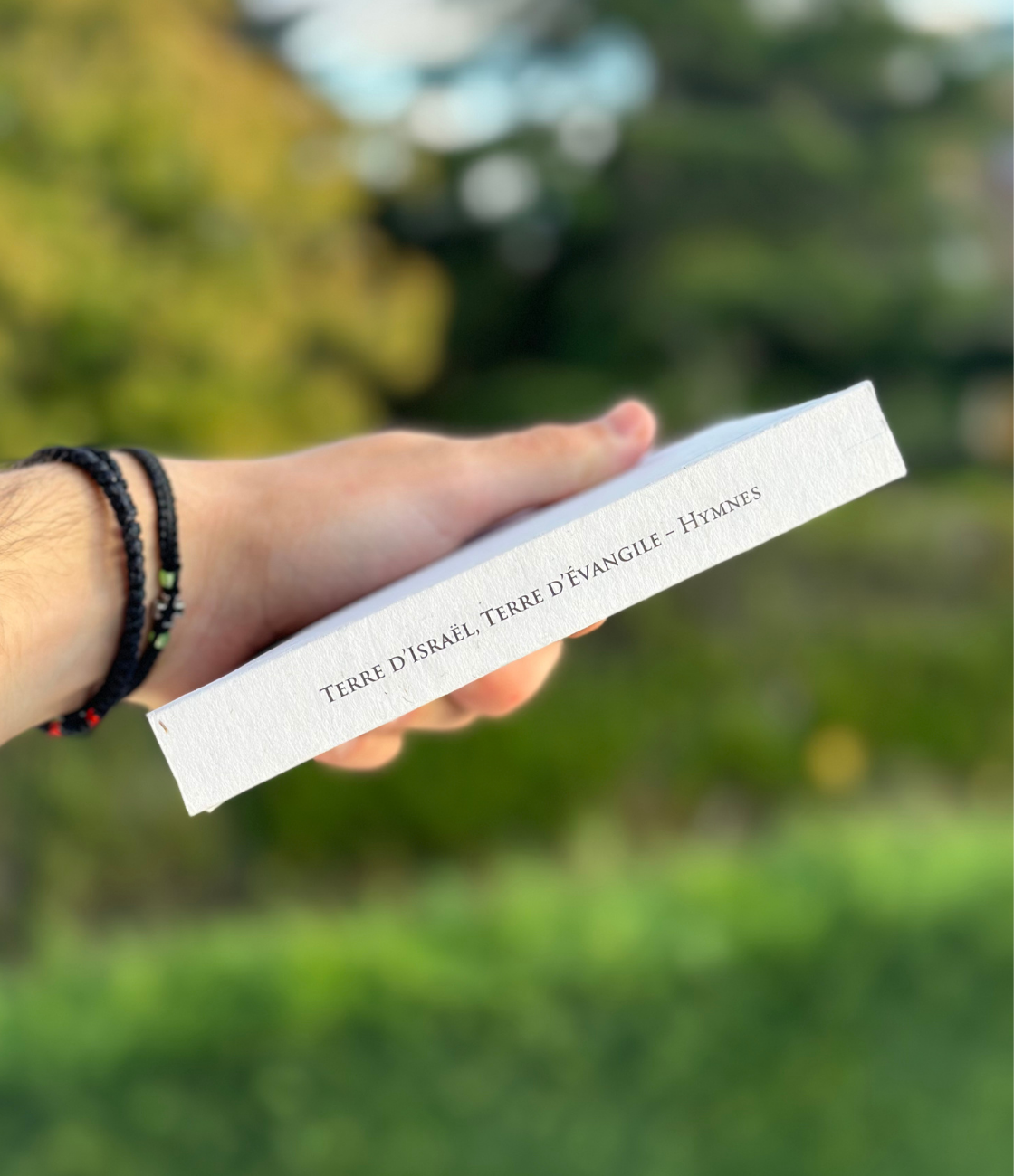 Terre d'Israël, Terre d'Évangile - Jacques Agbodjan
