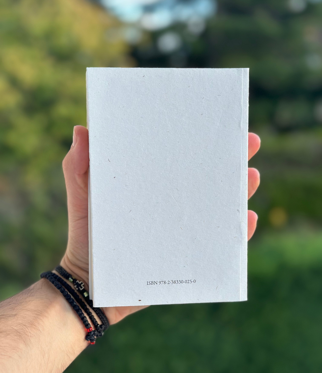 Terre d'Israël, Terre d'Évangile - Jacques Agbodjan