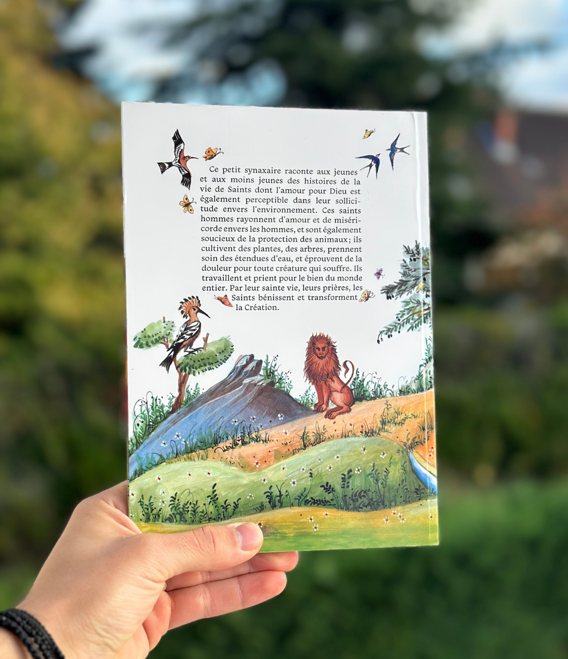 Gouttes de l'amour de Dieu - Les Saints et la nature