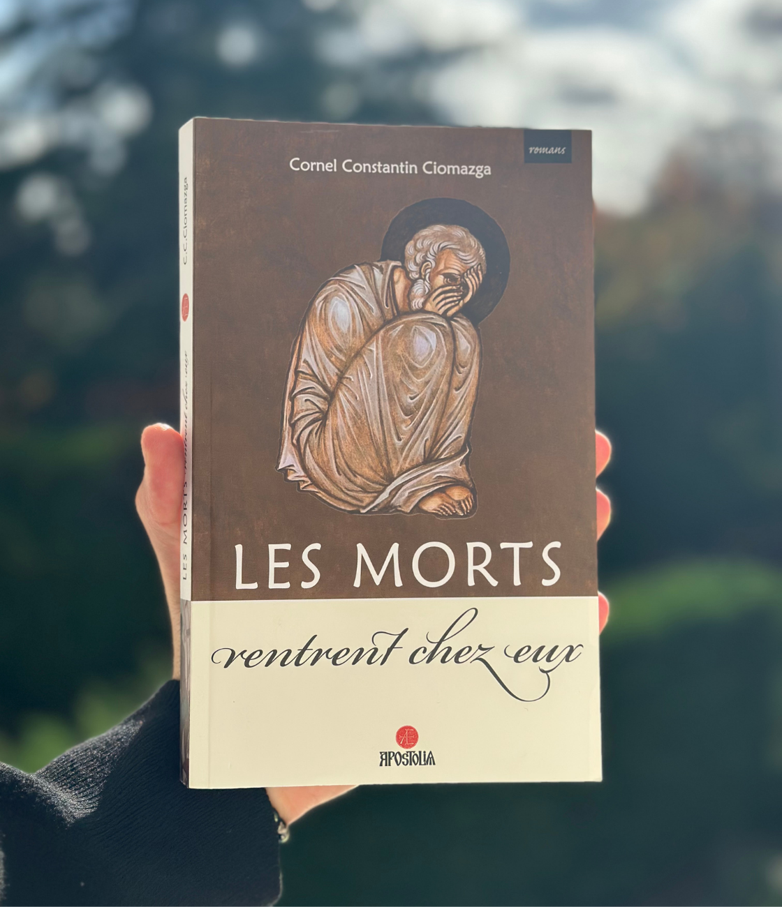 Les morts rentrent chez eux - Cornel Constantin Ciomazga