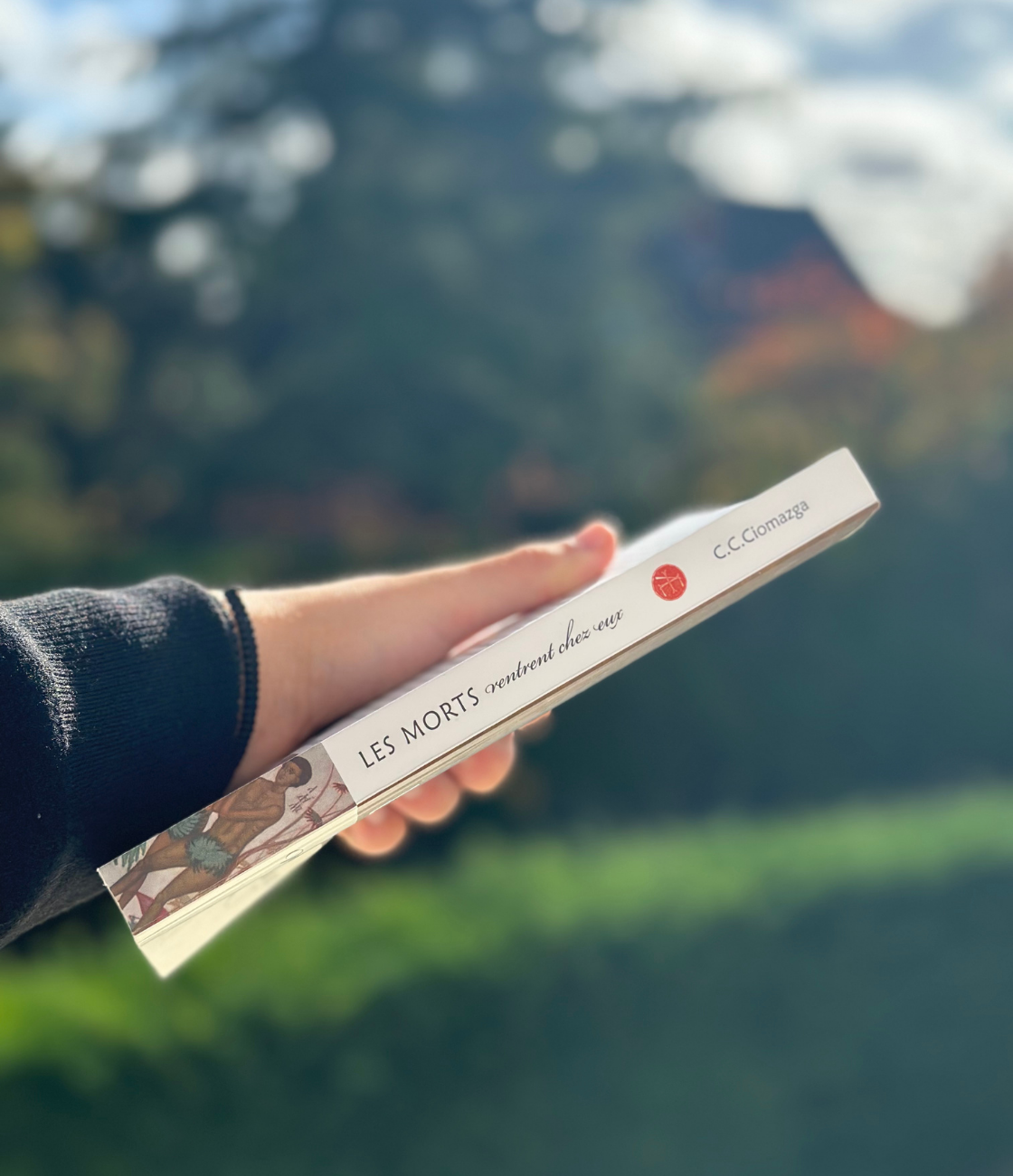 Les morts rentrent chez eux - Cornel Constantin Ciomazga