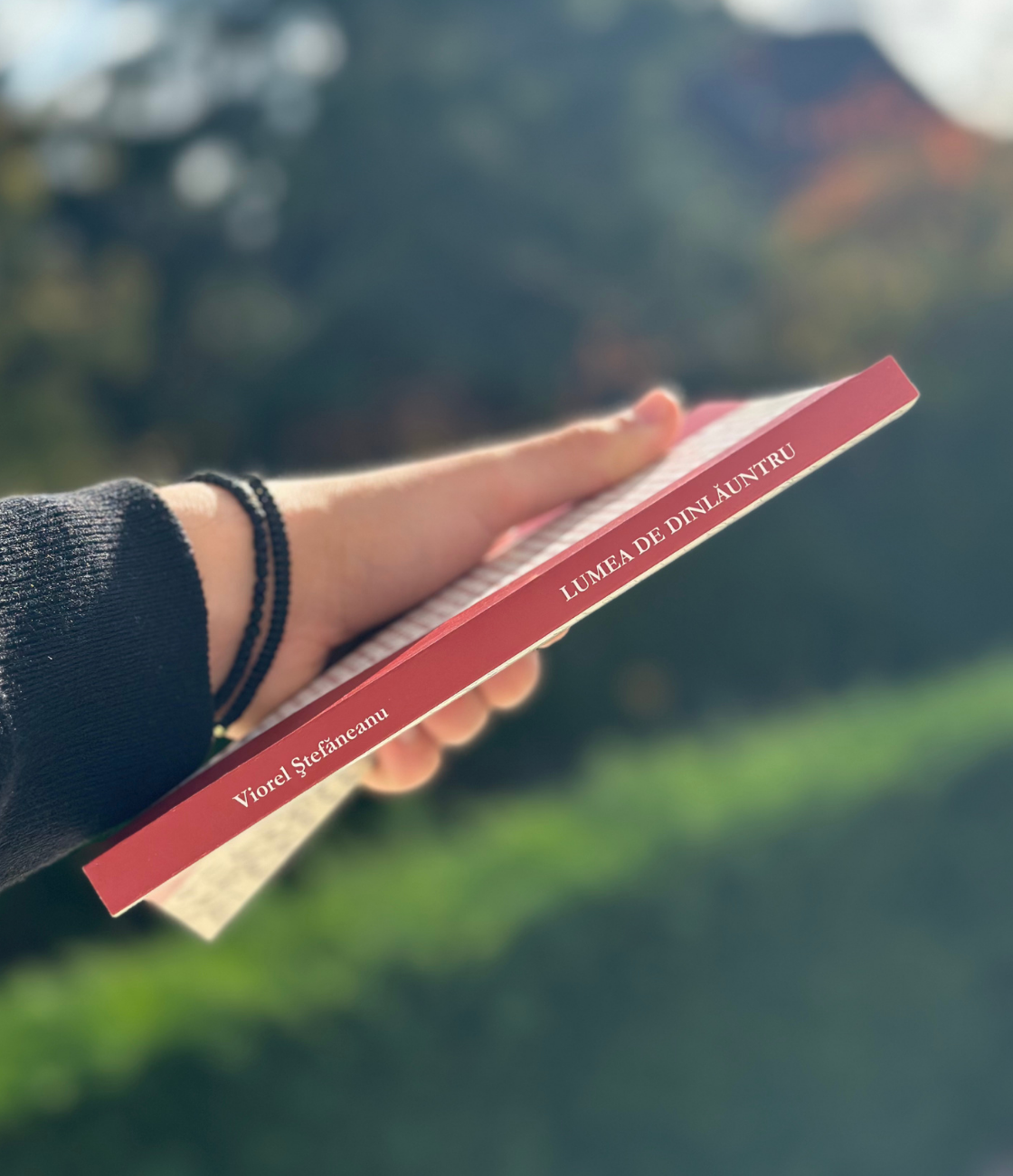 Lumea de dinlauntru - Viorel Stefaneanu