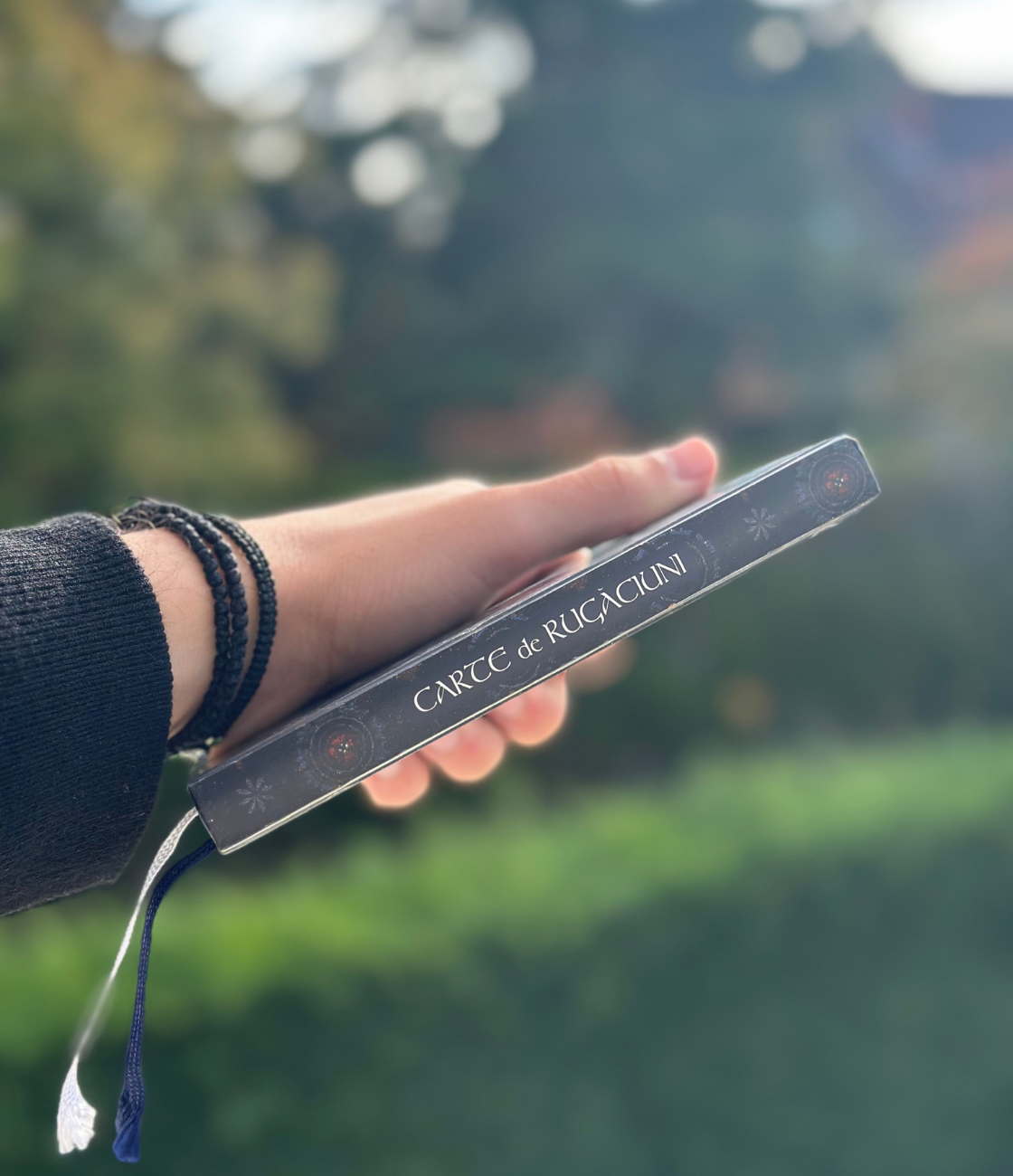 Carte de rugaciuni - Apostolia