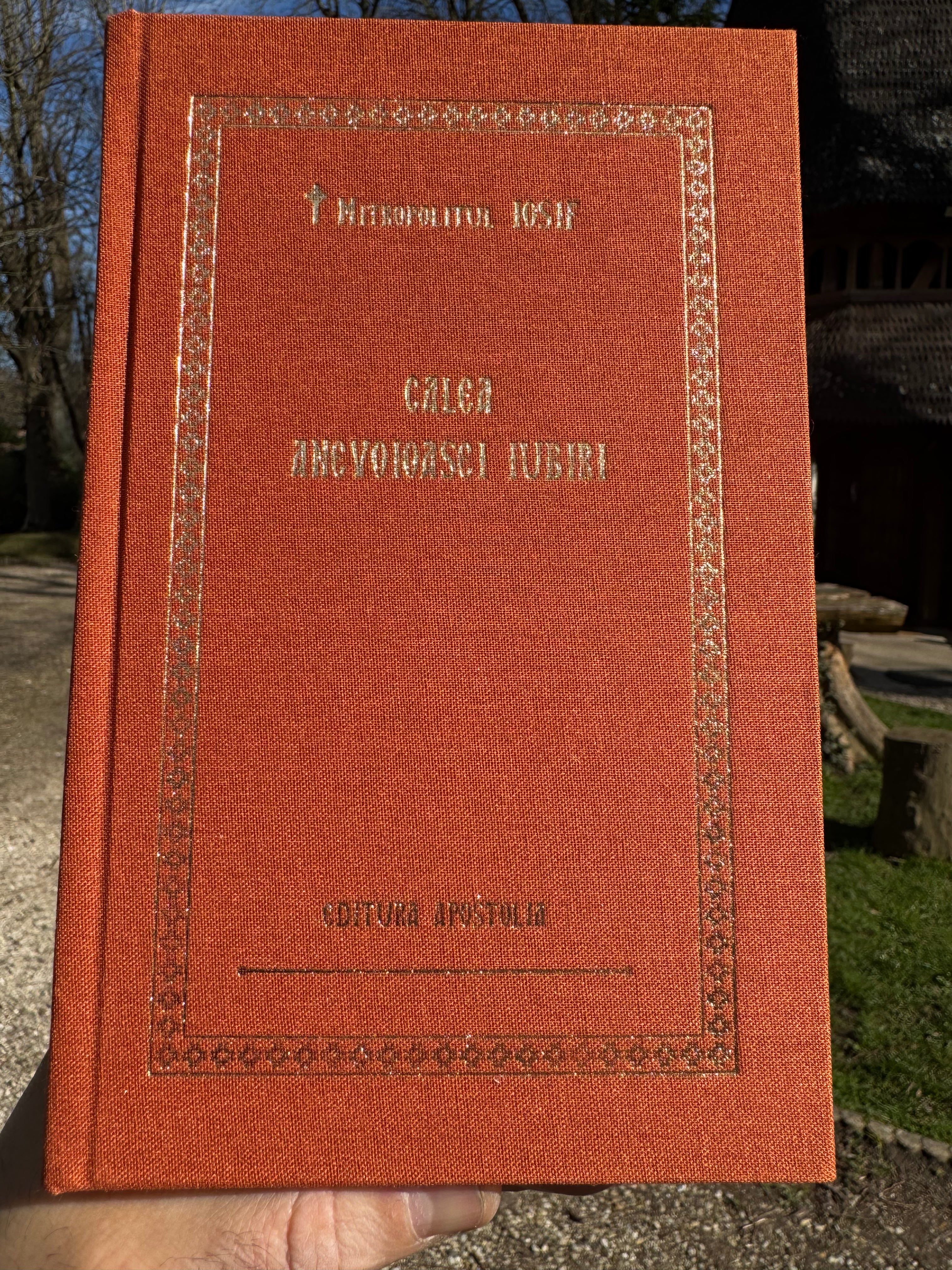 Calea anevoioasei iubiri