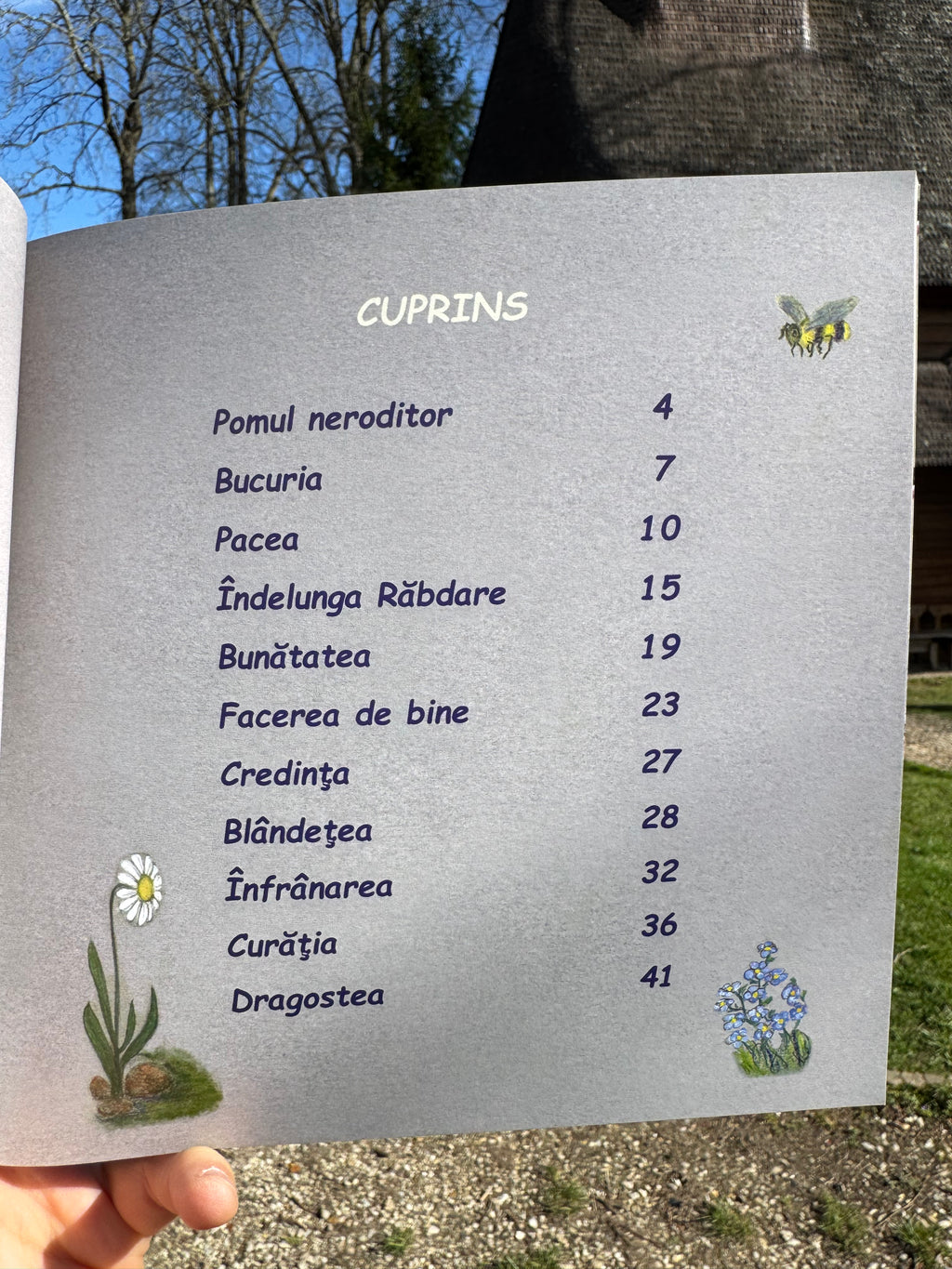 Misiune (im)posibilă