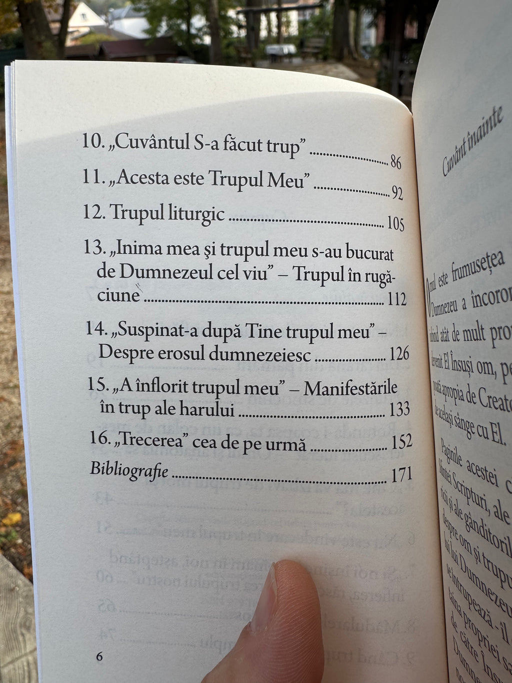 OMUL ȘI TRUPUL SĂU „Slăviți pe Dumnezeu în trupul vostru…”